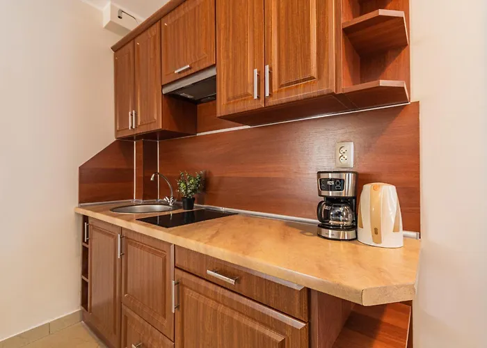 Flatbook - Port Z Parkingiem 公寓 斯蒂格纳